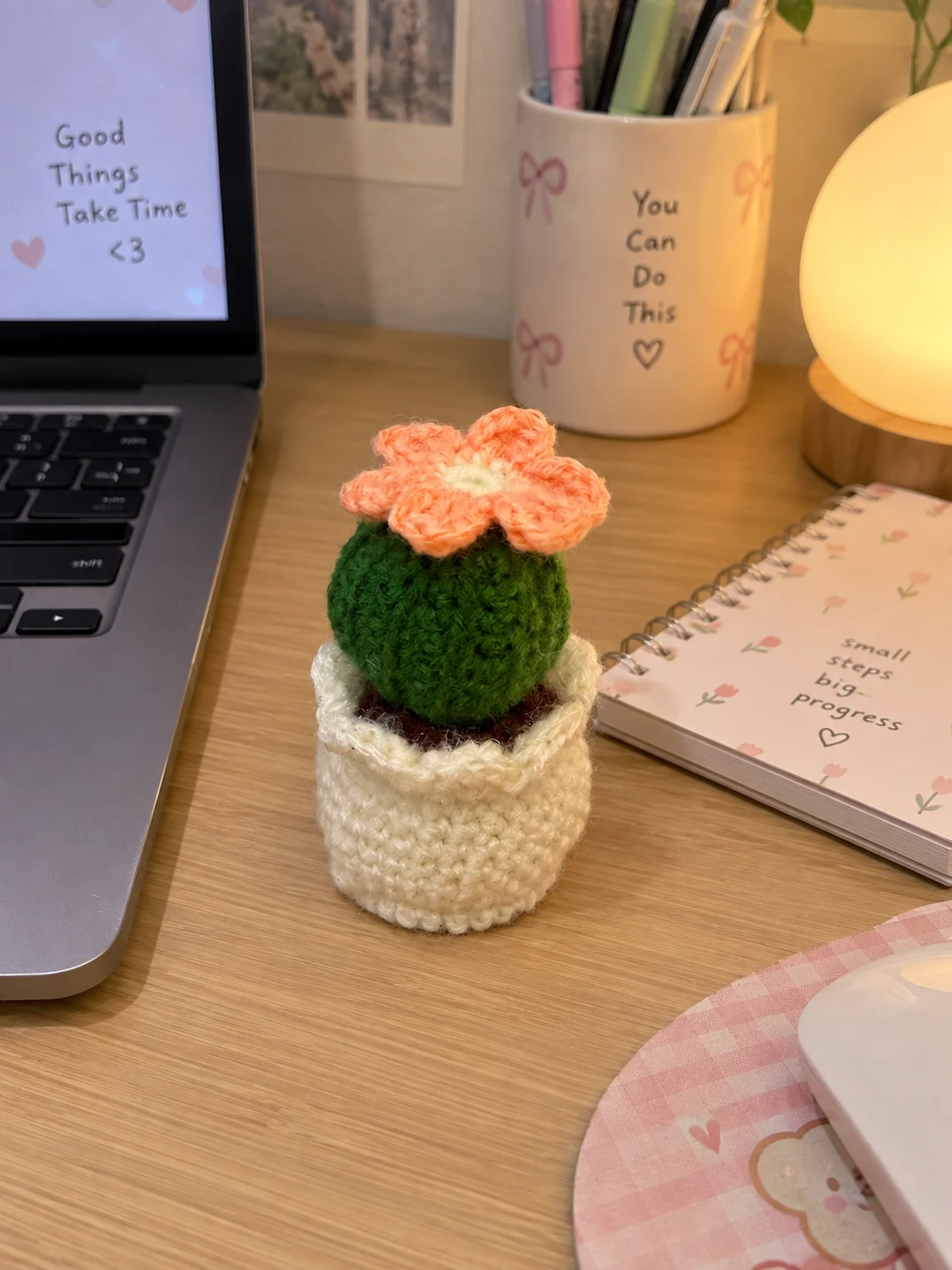 Crochet Cactus Plant